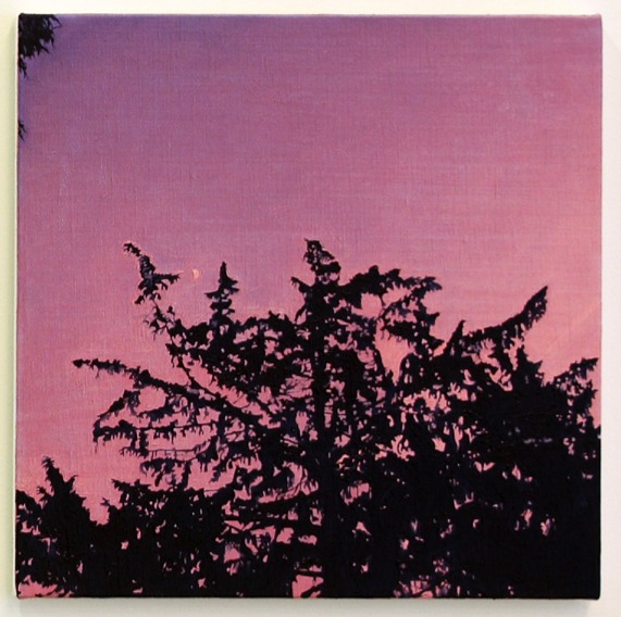  Paul McKinley: Pink Moon, 2009,; courtesy The LAB